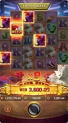 78wln · Rooster Rbl